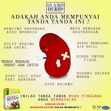 Ini kerana buah pinggang yang sakit tu tak lagi mampu menjaga keseimbangan mineral, air & nutrien yg betul dalam darah anda. Jus Tradisional Penawar Batu Karang Startside Facebook