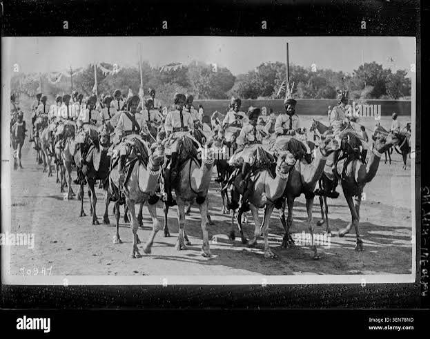 Bikaner camel corps india hi-res stock photography and images - Alamy