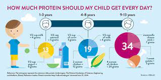 Protein How Much Is Enough Can You Have Too Much Feed
