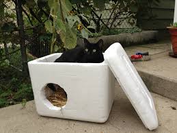 I wanted to make another feral cat shelter from a plastic storage bin that would fit in the little alcove underneath my house. Face Low Cost Animal Clinicoutdoor Cat Shelters Face Low Cost Spay Neuter Clinic