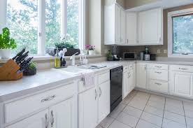 With my kitchen cabinets, you get superior, functional, and durable kitchen cabinets and flatpack kitchen packages that you and your family will enjoy making custom kitchen cabinets. What Do Baby Cockroaches Look Like Aptive Environmental