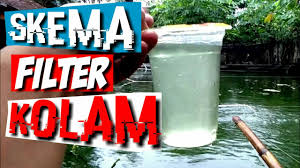 Cara Mudah Budidaya Ikan Gurame Tebar Padat Kolam Resirkulasi Youtube