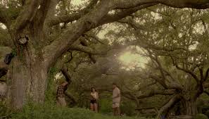 La série de netflix outer banks dont la saison 1 est disponible depuis le 15 avril 2020 connaîtra une suite. La Date De Sortie De La Saison 2 D Outer Banks A Ete Confirmee Juicee News