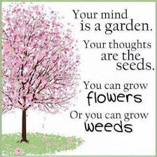 Gardening Quotes. QuotesGram via Relatably.com