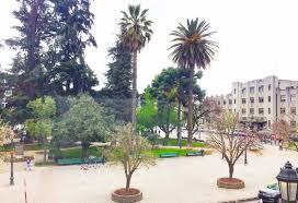 Se arrienda hermoso departamento amoblado completamente, con una excelente ubicacion, a pasos de la plaza de armas cercano a colegios y locomo. Espectacular Departamento Plaza De Armas Talca En Talca Arrienda Balance Propiedades