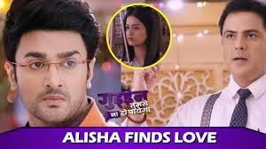 Guddan Tumse Na Ho Payega: Alisha Falls In Love With Akshat's Friend,  Guddan In Shock