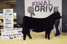 See what gabriela reemtsma (colochisima) has discovered on pinterest, the world's biggest collection of ideas. Clark Reemtsma Cattle Company 9 Photos Agricultural Cooperative Dewitt Ia