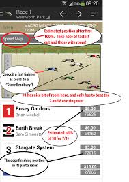 Wentworth Park A Guide To Betting On Greyhounds