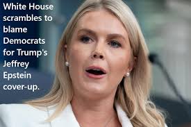 President Trump answers question