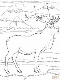 Maybe you would like to learn more about one of these? Elk Coloring Pages Elk Or Wapiti Coloring Online Super Coloring Home