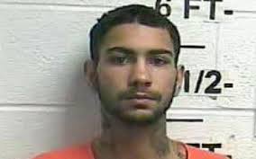 The News Journal Jamie Muse Archives