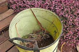 It also makes sense to leave some areas unplanted at first. How To Plant Your First Vegetable Garden Gardener S Path