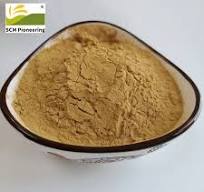 Hot Selling Natural Pure Gentian Root Extract Powder 5: 1 Gentiopicroside