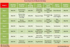 7 months old baby food chart bedowntowndaytona com