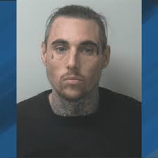 Another whale stranded