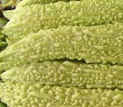 Bitter Gourd Meaning And Translation In Malayalam Tamil Kannada Telugu Hindi Bengali Gujarati Marati Oriya And Punjabi Pachakam Com