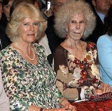 Camilla's official title is as follows: Camilla Duchess Of Cornwall And The Duchess Of Alba Camilla Duchess Of Cornwall Prince Charles And Camilla Duchess Of Cornwall