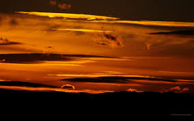 Eğer android kişisel duvar kağıtları senin kadar doğa duvar kağıdı yüklemek ister misiniz? 1920 X 1200 Doga Ana Gundogumu Arka Plan Arka Plan Resimleri