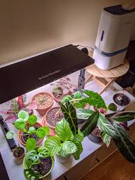 Maybe you would like to learn more about one of these? Aerogarden Grow Light Set Up Grow Lights Plants Indoor Gardens