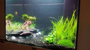 Pin On Home Ideas