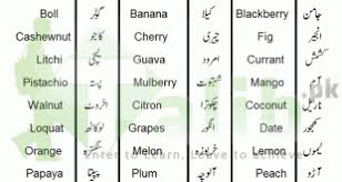 Past Continuous Tense In Urdu And English Exercise Sentence Formula Fruit Names Fruits Name In English Insects Names