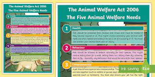 The animal welfare act 2015 comes into force 18th july 2017! The Five Animal Welfare Needs The Animal Welfare Act 2006 A4 Display Poster