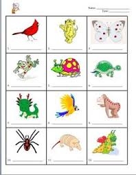 Dichotomous Key Printable And Digital Distance Learning Dichotomous Key Life Science Activities Weird Animals