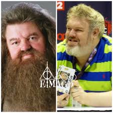 New actors in Harry Potter 2026