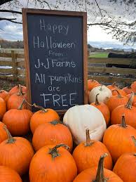 Image result for tbn:0PJB32OL7JwfOM::farm4.static.flickr.com/3324/3329876139_f2d551139f.jpg