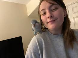 Please delete if not allowed. Having a clear out and have a number of books  that we no longer need