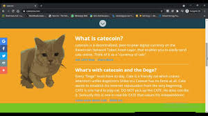 An overview showing the statistics of catecoin, such as the base and quote currency, the rank, and trading volume. How To Buy Cate Coin Watch Full Details Youtube