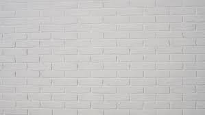 A feast for the eyes! White Background For Zoom 15 Gorgeous Backdrops For Your Next Zoom Call