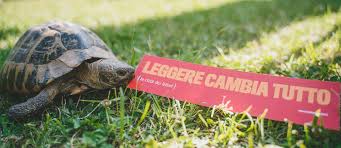 Foto quarta edizione