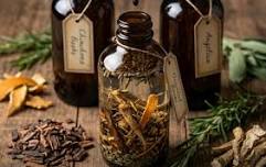 Botanical Bitters Creation