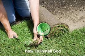 Maybe you would like to learn more about one of these? South Carolina S Leading Bermuda Grass Sod Farm Premiere Pro Celebration Tifway 419 And El Toro Varieties Inman Sod