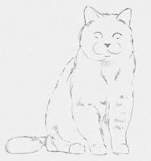 kak narisovat koshku poetapno karandashom art painting sketch book