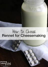 Site Search Discovery Powered By Ai Cheesemaking Cheese Making Recipes Homemade Cheese