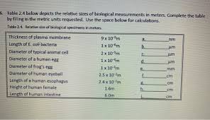 Measurement conversion table length 1 inch = 2.54 centimeters 1 centimeter = 0.3937 inches 1 feet = 30.4801 centimeters 1 centimeter = 0.0328 feets 1 feet = 0.0936 meters 1 meter = 3.3 feets 1 centimeter = 0.01 meters 1 meter = 1.0936 yards 1 mile = 1.6093 kilometers 1 kilometer = 0.6214 miles. Solved A Nm 6 Table 2 4 Below Depicts The Relative Size Chegg Com