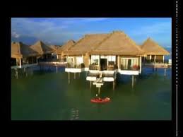 Golden palm tree villa) facilities & services. Golden Palm Tree Resort Sepang Gold Coast Youtube