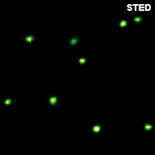 Jan 03, 2021 · size. Microtime 200 Sted Picoquant