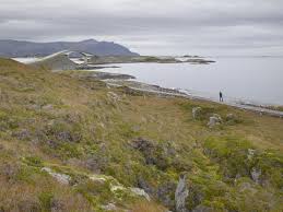 Bildergebnis für Ghilardi + Hellsten Arkitekter