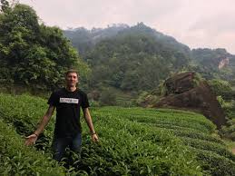 самый дорогой чай в мире называется дахунпао что означает Thread By Pyanibatya Itak Davajte Ya Rasskazhu Vam Za Chaj Chtoby Kogda Dushnari Govoryat Chto To Pro Chaj Vy Mogli Razmotat Ih Faktami 1 Lajk 1 Fakt O Chae 1 St