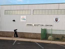 Adoption spotlight boca park animal hospital is dedicated to helping homeless animals find forever homes through working with the local rescue groups. 2018 New Mexico Animal Shelter Survey