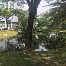 Unit a6, 22a, jalan tiara 2a/ku1 pusat perniagaan bbk 41150 klang selangor. Rhb Bangi Complex Bandar Baru Bangi Sg Merab Malaysia