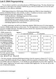 If you were to try and match those features against the respective fingerprints you would find many discrepancies. Lab 5 Dna Fingerprinting Pdf Free Download