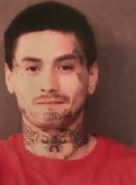 Anthony Muniz Jail Booking