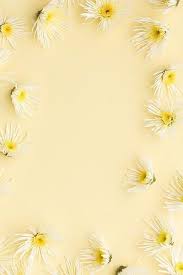 This Image Contains White Florals On A Soft Yellow Background Yellow Aesthetic Pastel Pastel Background Wallpapers Floral Stock Images