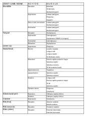 Copy Of Muscles Grouped By Action Chart Joint Limb Bone