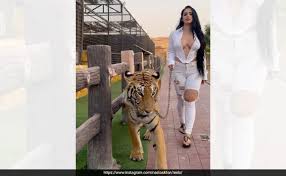 Video: Social Media Influencer Nadia Khar Takes Tiger On A Walk In Dubai