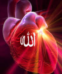 Sebagian orang mengatakan abu yazid meninggal pada tahun 261 h, sebagian yang lain mengatakan tahun 234 h ketika berusia 73. Kata Hikmah Sheikh Abu Kata Kata Mutiara Kekasih Allah Facebook